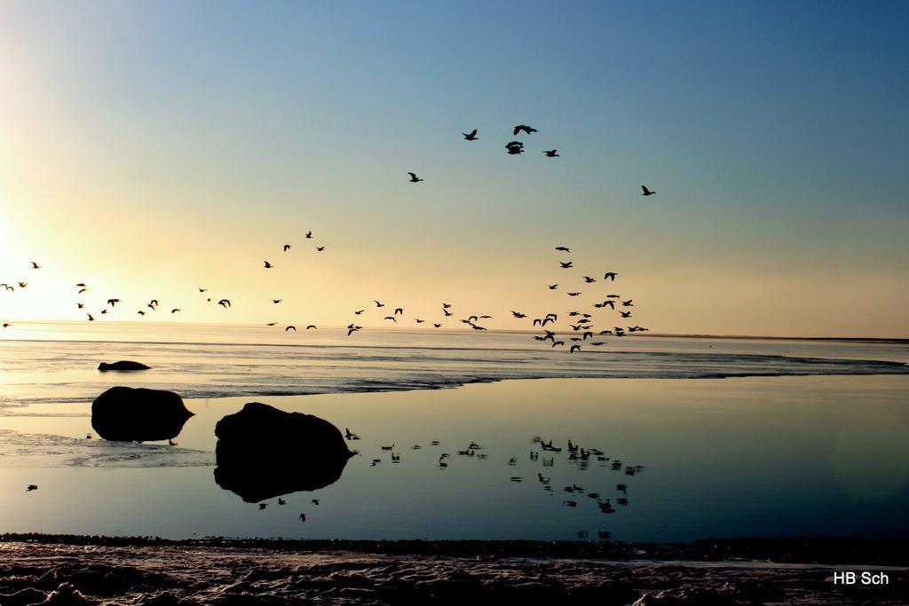 South Iceland Guesthouse Steinar ภายนอก รูปภาพ