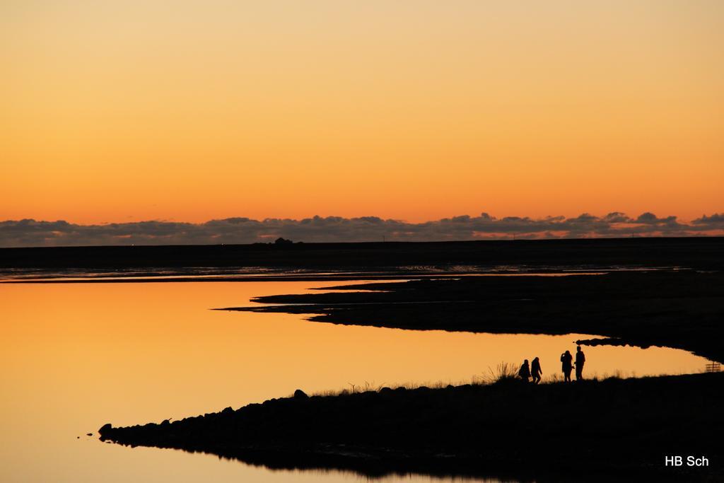 South Iceland Guesthouse Steinar ภายนอก รูปภาพ